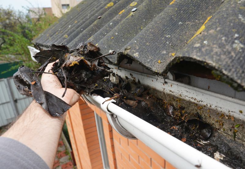 Clogged Gutter Blockages