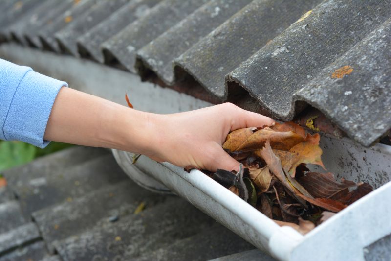 Clogged Gutter Blockage